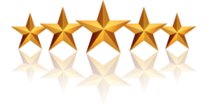 Foam Puppy Review